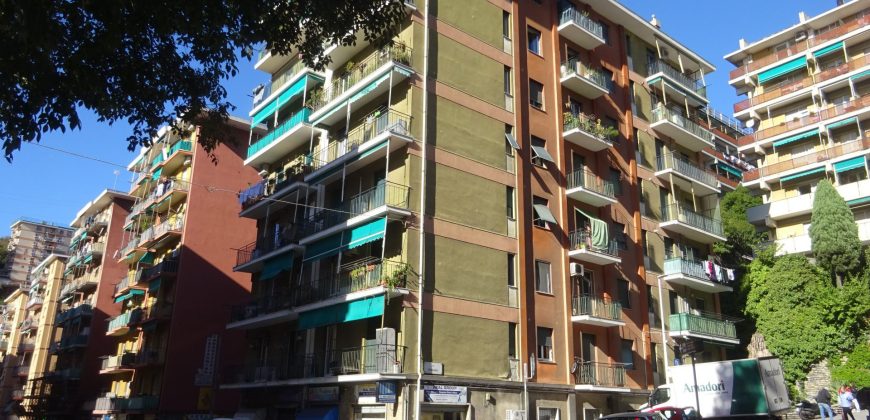 Bologna /Ferrara vani 6 balcone parziale vista mare