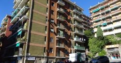 Bologna /Ferrara vani 6 balcone parziale vista mare