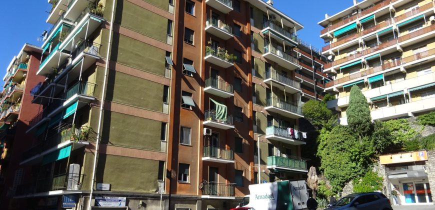 Bologna /Ferrara vani 6 balcone parziale vista mare