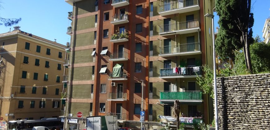 Bologna /Ferrara vani 6 balcone parziale vista mare
