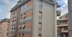 Via Ferrara ampi vani 7 balcone