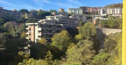 Granarolo San Marino ampi vani 6 loggia cantina postauto scoperto e box