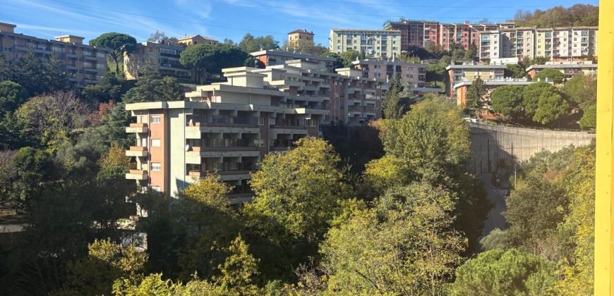 Granarolo San Marino ampi vani 6 loggia cantina postauto scoperto e box